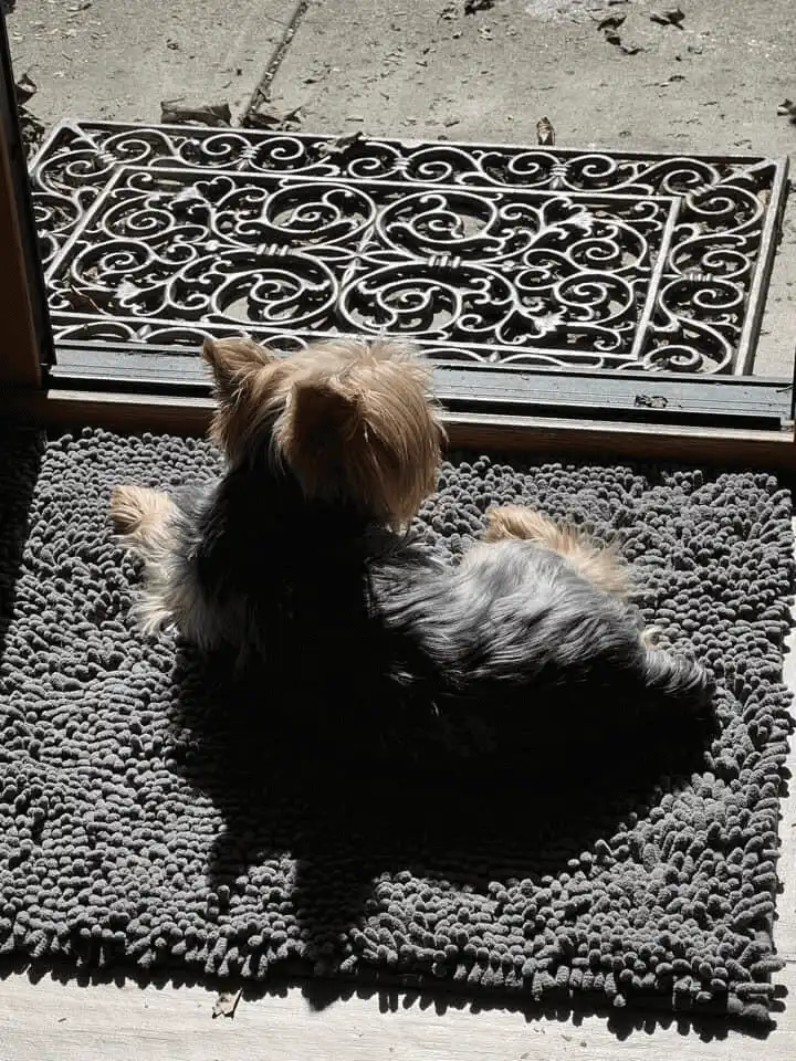 Muddy Mat Review One